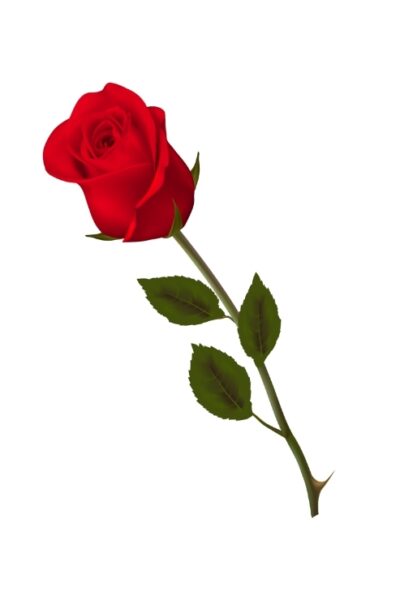 funerale-fausto-proietti-terni