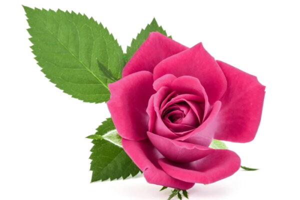 funerale-manuela-valsenti-terni