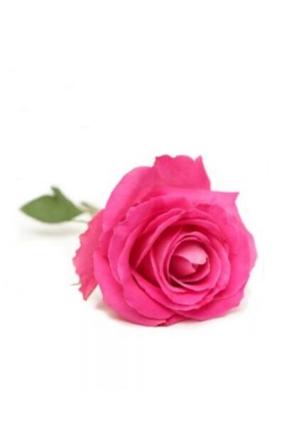 funerale-daniela-argenti-terni