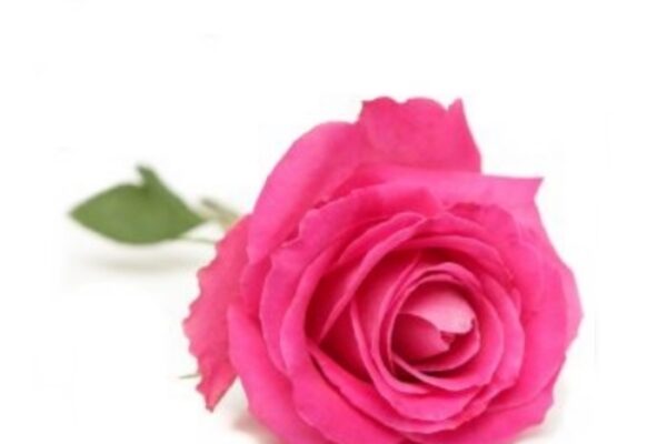 funerale-daniela-argenti-terni