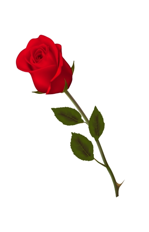 funerale-francesco-santoni-terni