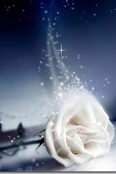 funerale-nilza-alves-santos-terni