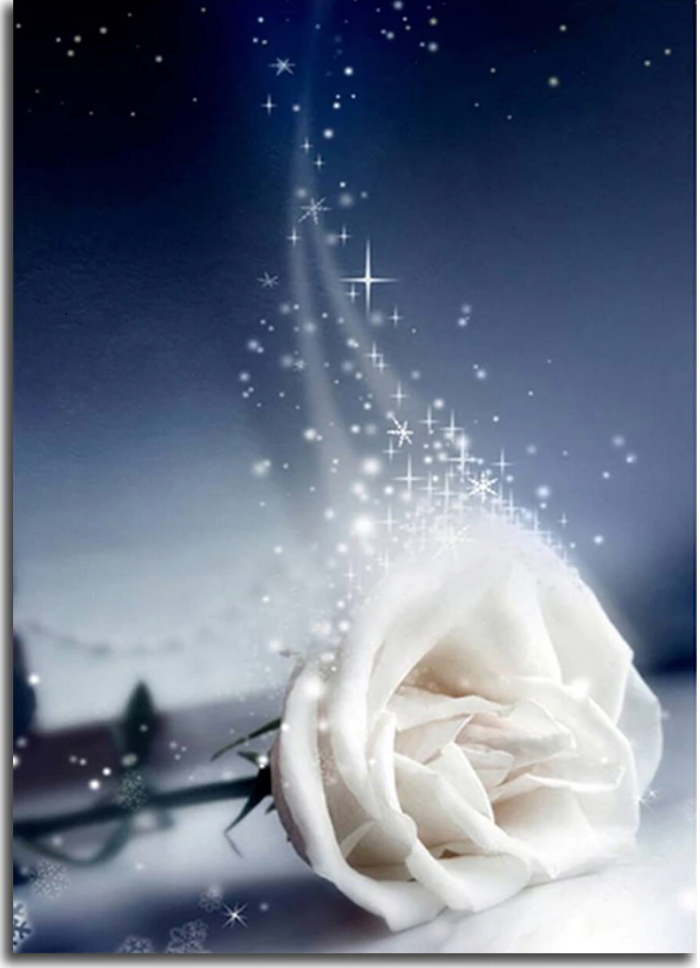 funerale-nilza-alves-santos-terni