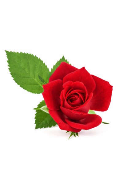 funerale-luigino-patrizi-terni