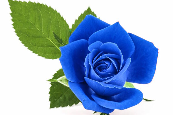 funerale-valentino-santori-terni