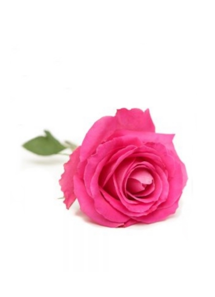 funerale-anna-livia-miconi-terni