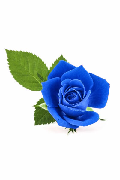 funerale-gabriele-vincenzoni-terni