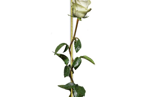 funerale-matteo-nunzi-terni