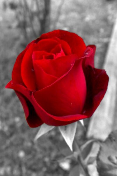 funerale-giovanni-weber-terni