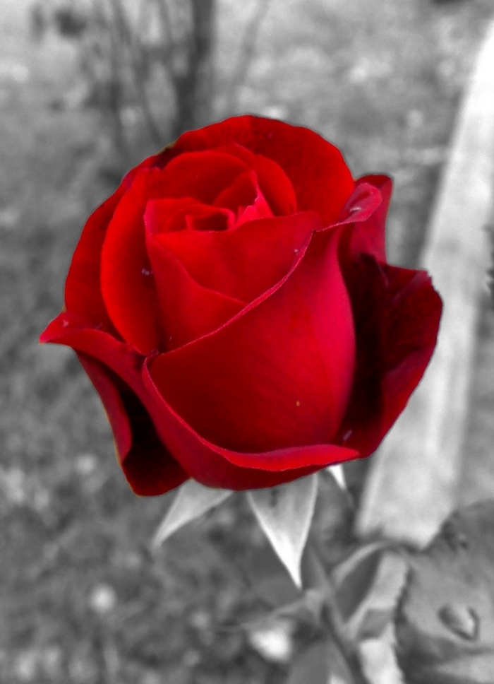 funerale-giovanni-weber-terni