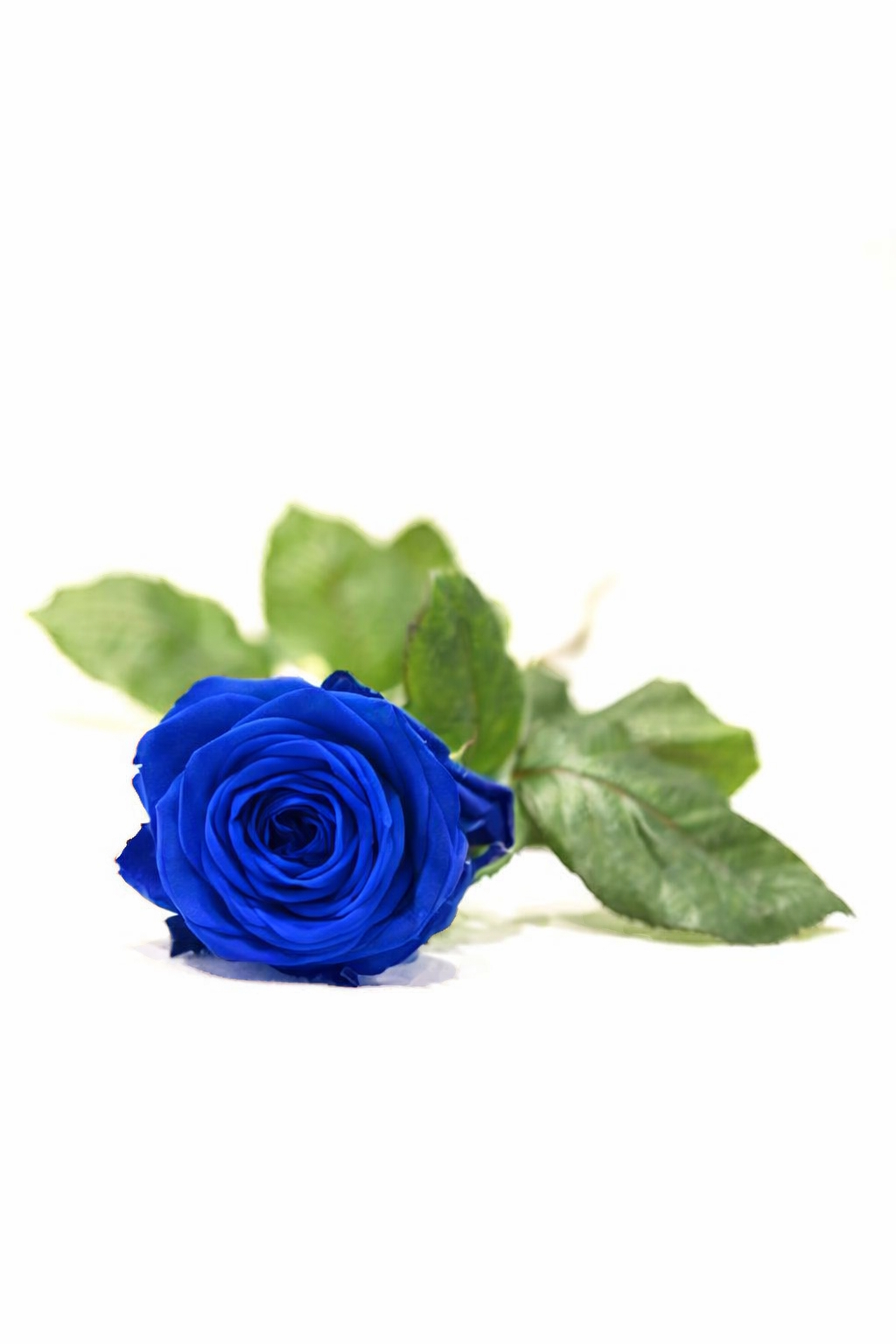 funerale-graziano-fazi-terni