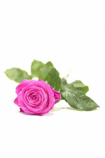 funerale-adriana-manzi-canini-terni