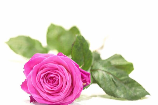 funerale-graziella-faraone-terni