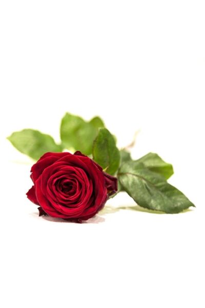 funerale-ermanno-pezzatini-terni