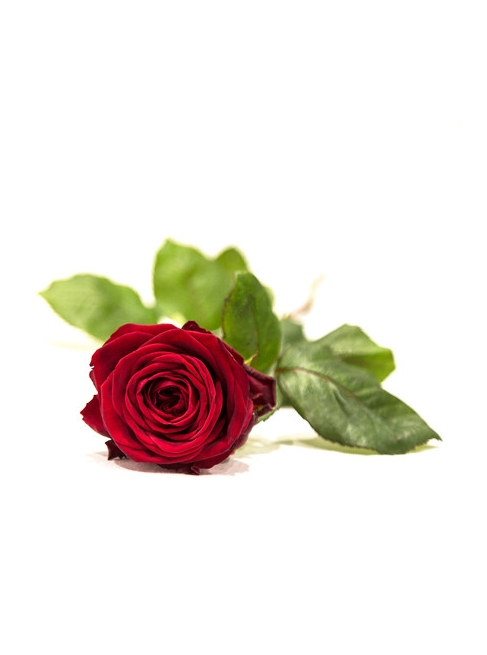 funerale-ermanno-pezzatini-terni