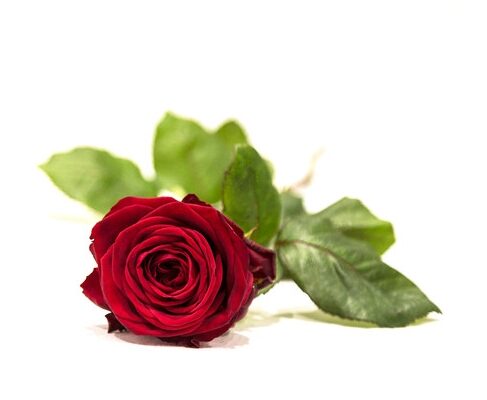 funerale-luciano-pace-terni